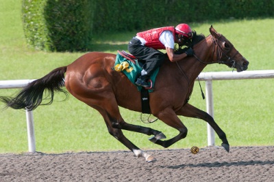 OBS Junel 2yos 13 Breeze Sat