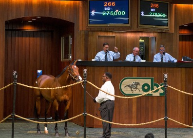 Obsj13 Tuesday, Sale, 11obsj13_Dunkirk-Marialua, Bobby Dodd, Agent I,Mike Keathley $120,000, 82obsj13_Even the Score-Pata Fresca, Southern Chase Farm, Inc. (Greg & Karen Dodd), Agent