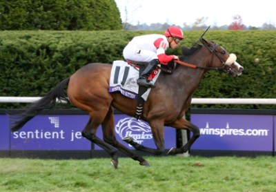 STEPHANIE'S KITTENBreeders' Cup Filly & Mare Turf Gr IKeeneland Race Course     Lexington,     KentuckyOctober 31,     2015    Race #06Purse $2,  000,0001-3/16 Miles-Turf  1:56.22Kenneth L. & Sarah K. Ramsey, OwnersChad C. Brown, TrainerIrad Ortiz, Jr., JockeyLegatissimo (2nd)Queen's Jewel (3rd)$17.60 $5.60 $3.60Order of Finish - 11, 3, 6, 2Please Give Photo Credit To:  / Coady Photography
