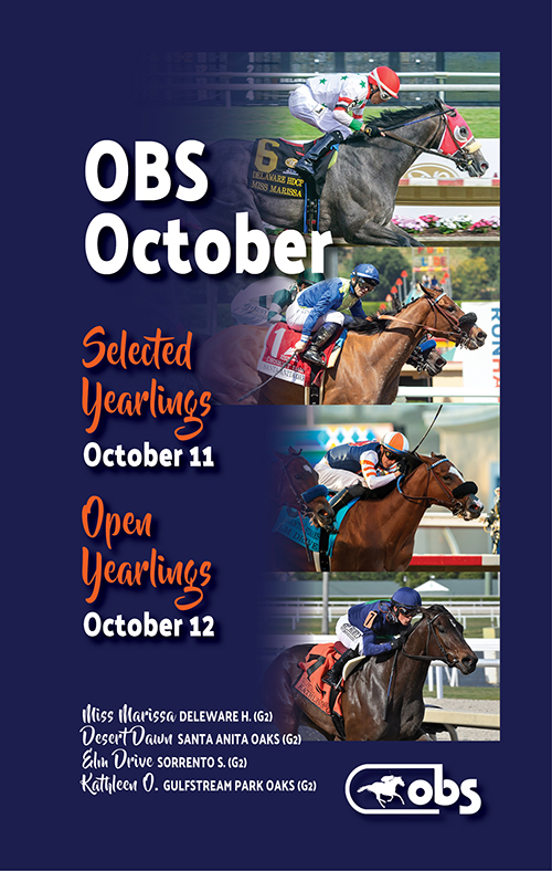 OBS Sales Premier Thoroughbred Sales Venue In Ocala Florida 