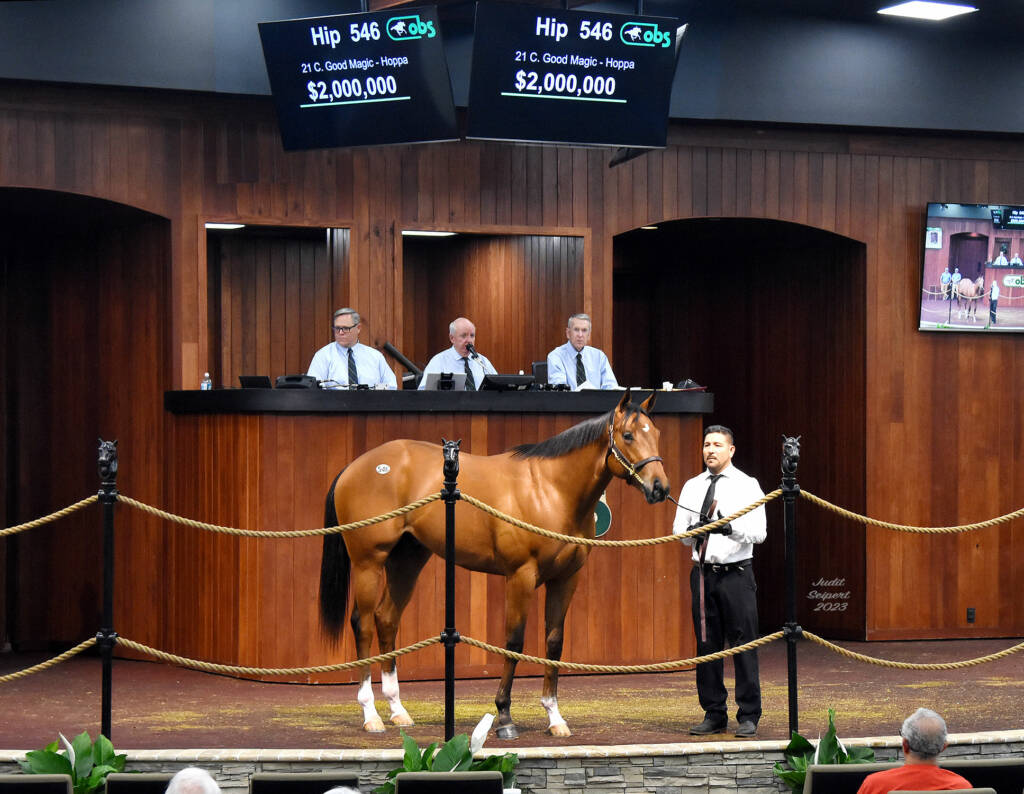 Good Magic colt tops March Sale’s second session OBS Sales